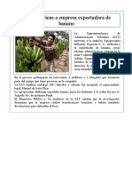 SAT Interviene A Empresa Exportadora de Banano