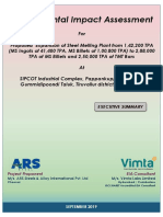 Environmental Impact Assessment 