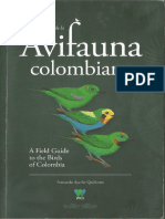 Libro Word PDF