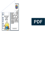 Formato de Carnet - 084328 PDF
