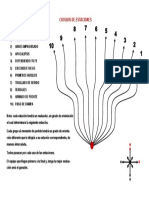 Croquis de Actividad - 125056 PDF