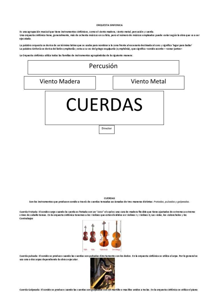 Ubicación de Instrumentos en Orquesta Sinfónica | PDF | Instrumentos de ...