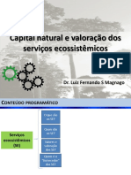 Capital natural e serviços ecossistêmicos