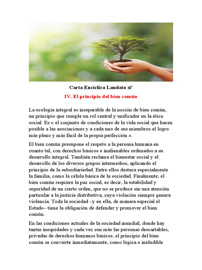 Carta Encíclica Laudato Si | PDF