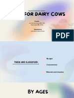 Feeds For Dairy Cows