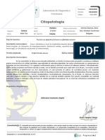Citopatología YOYITA DELGADO GM Abdominal Craneal Izq PDF