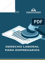 Cartilla Derecho Laboral VF PDF