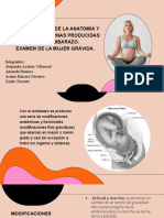 Copia de Workshop For Pregnant Women - Antenatal Classes by Slidesgo