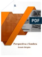 ED - Perspectiva e Sombra PDF