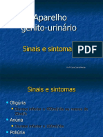 Aparelho Genito Urinário