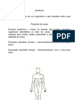 Anatomia ossos musculos articulações