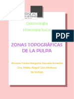 Zonas Topográficas de La Pulpa PDF