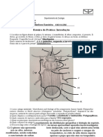 Roteiro de Prática: Introdução