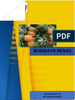 BUDIDAYA NENAS