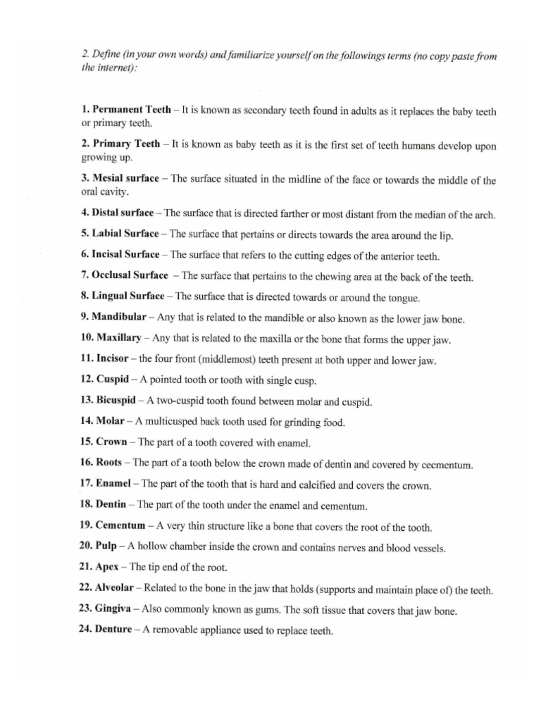 Dental Vocabulary 1 PDF