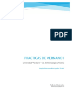 Practicas de Verano I