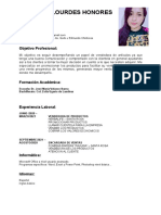 Curriculum Vitae