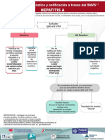 Algoritmo de Diagnostico Notificacion snvs2.0 Hepatitis A