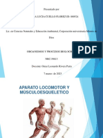 Organismos Presentacion Interactiva PDF