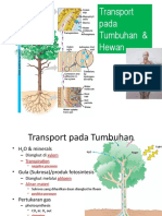 Transport Tumbuhan & Hewan