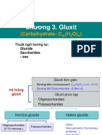 Chuong 3. Gluxit PDF