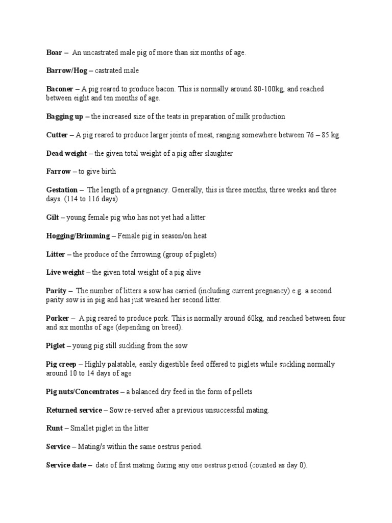 Swine Terminology Download Free PDF Pig Livestock