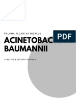 ACINETOBACTER BAUMANNII Resumen PDF