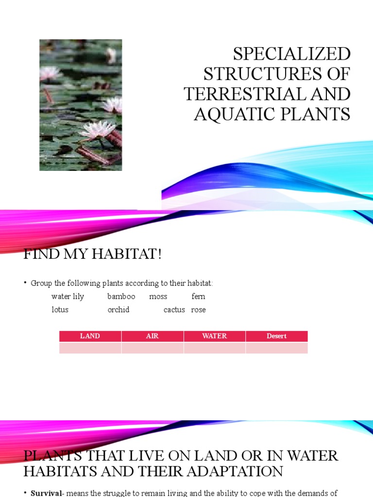 Specialized Structures of Terrestrial and Aquatic Plants PDF Plants