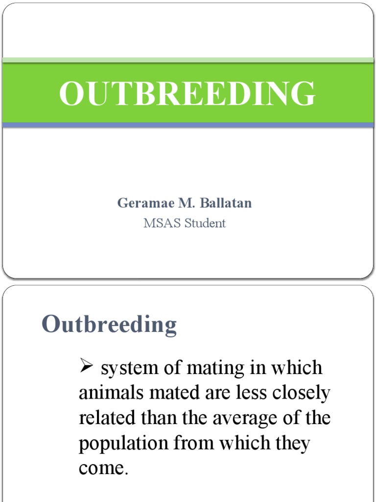 Outbreeding in Animal Breeding Systems | PDF | Science & Mathematics