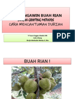 1 - Cantuman Baji - Durian PDF