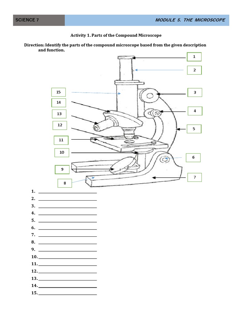 Activity 1. Parts of The Compound Microscope PDF