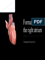 Formation of The Right Atrium: Presented by Prayasi Dey