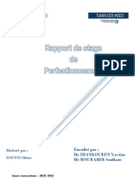 Rapport de Stage TMSA 2021 - 2022 2 PDF