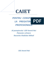 Caiet 2