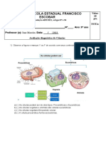 Avaliação diagnóstica de Ciências da Escola Estadual Francisco Escar