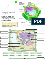 Cell Label Plant and Animal- Remote Edition