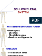 02 Muskuloskeletal 2