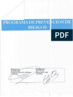 Programa de Prevención de Riesgos PDF