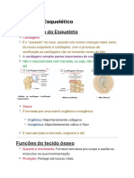 3. Sistema Esquelético..pdf