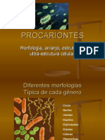 Morfologia e estrutura procarionte