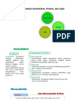 Makromolekul