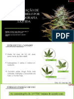 Slide Toxicologia - THC - Final 2.1