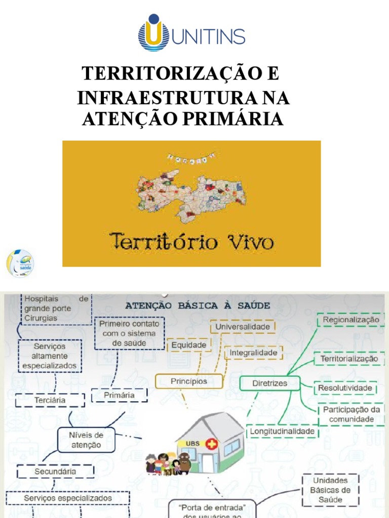 Aula Territorializacao Resumo,,r | PDF | Enfermagem