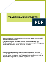 Transpiración (Fisiología Vegetal)