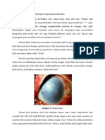 Patogenesis Dan Patofisiologi Trauma Kimia Pada Mata
