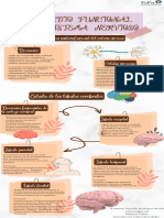 Infografia Lobulos