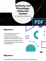 Anatomy and Physiology: The Endocrine System