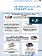 Infografia Neuro Involutiva 