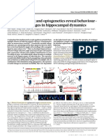 Voltage Imaging and Optogenetics Reveal Behaviour Dependent Changes in Hippocampal Dynamics