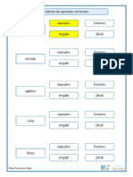 Actividad Género y Número Del Sustantivo